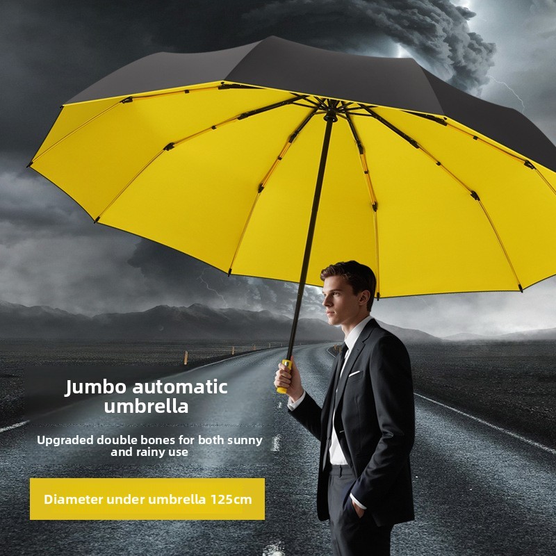 Parapluie homme extra large 12 - Golf Umbrella Large avis et prix
