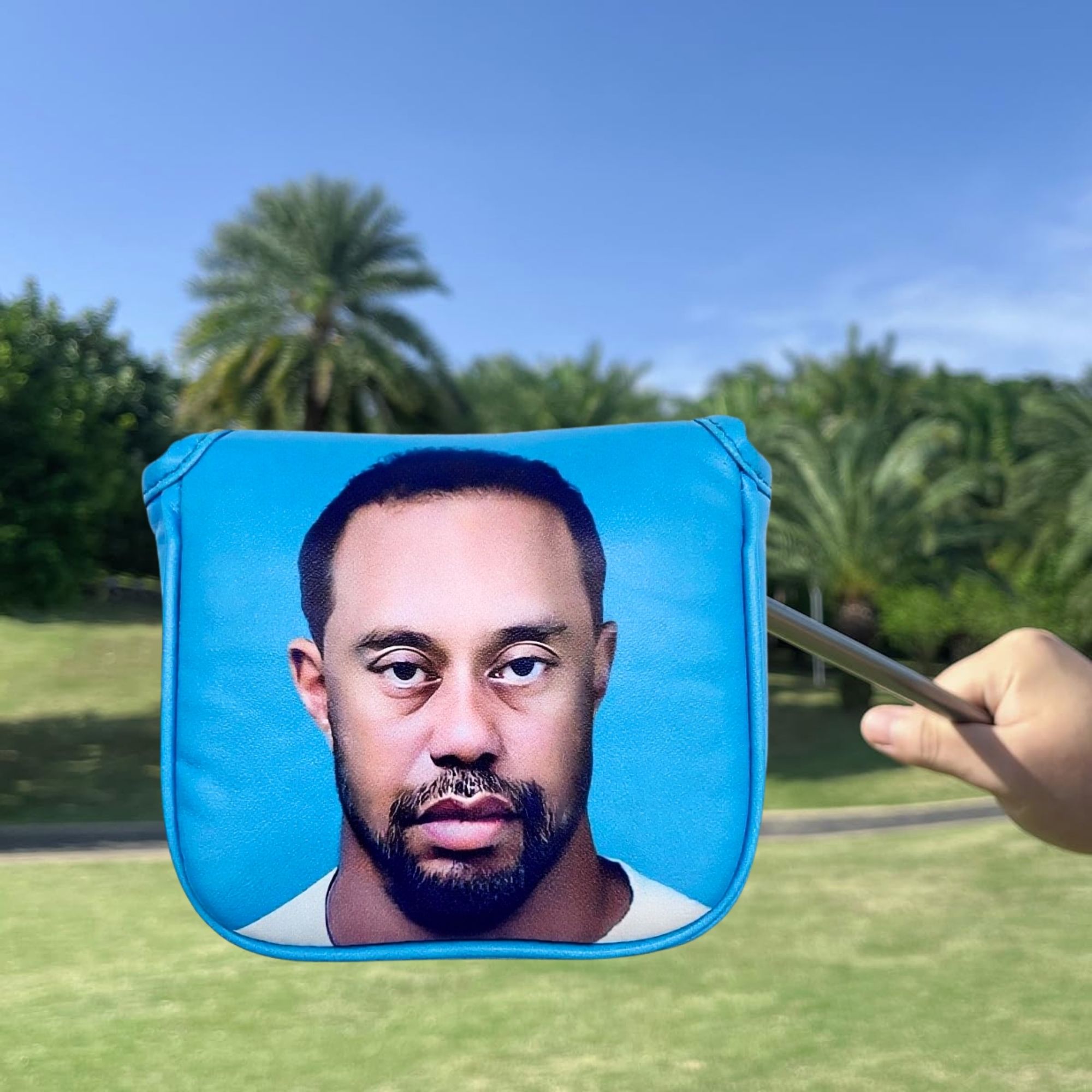 Couvre-tête de putter de maill - Golf Putter avis et prix